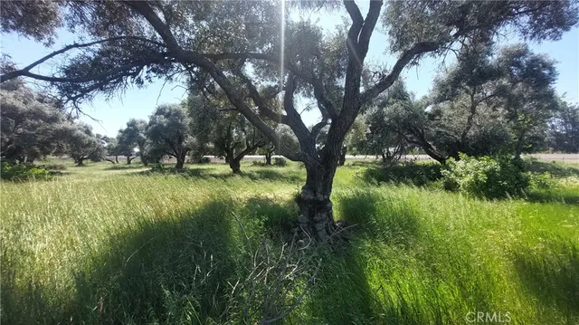 $545,000 | 2915 South 99 W Highway, Corning, CA 96021