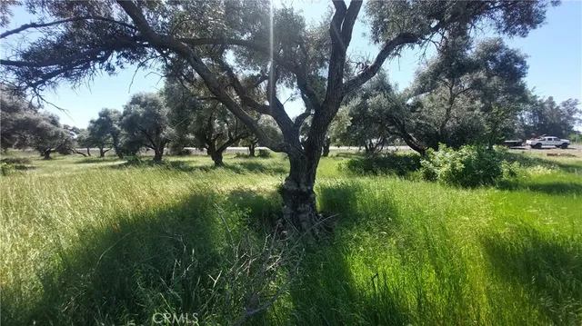 $545,000 | 2915 South 99 W Highway, Corning, CA 96021