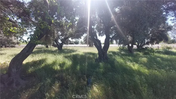 $545,000 | 2915 South 99 W Highway, Corning, CA 96021