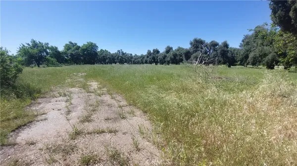 $545,000 | 2915 South 99 W Highway, Corning, CA 96021