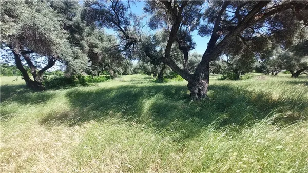 $545,000 | 2915 South 99 W Highway, Corning, CA 96021