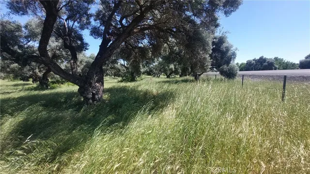 $545,000 | 2915 South 99 W Highway, Corning, CA 96021