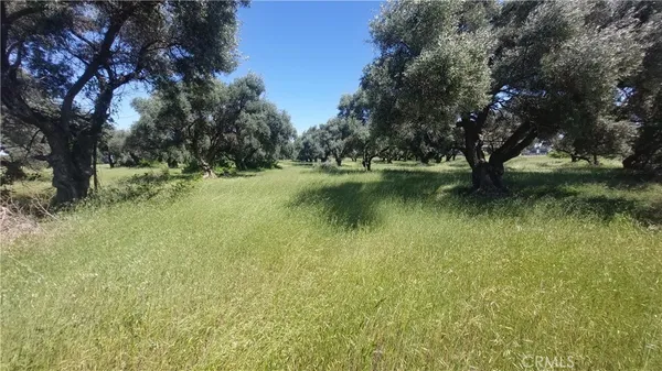 $545,000 | 2915 South 99 W Highway, Corning, CA 96021