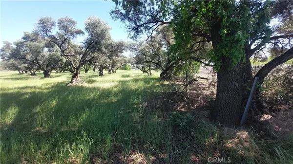 $545,000 | 2915 South 99 W Highway, Corning, CA 96021