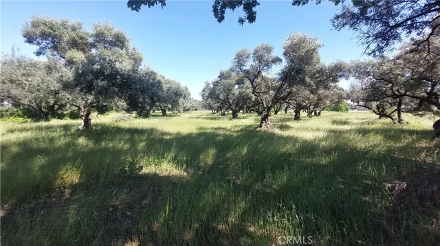 $545,000 | 2915 South 99 W Highway, Corning, CA 96021