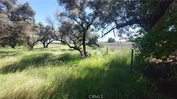 $545,000 | 2915 South 99 W Highway, Corning, CA 96021