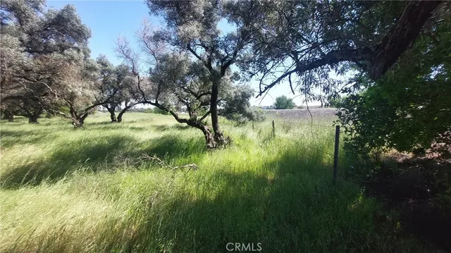 $545,000 | 2915 South 99 W Highway, Corning, CA 96021