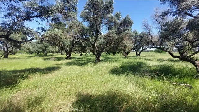 $545,000 | 2915 South 99 W Highway, Corning, CA 96021