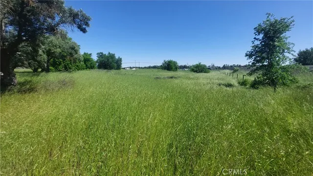 $545,000 | 2915 South 99 W Highway, Corning, CA 96021