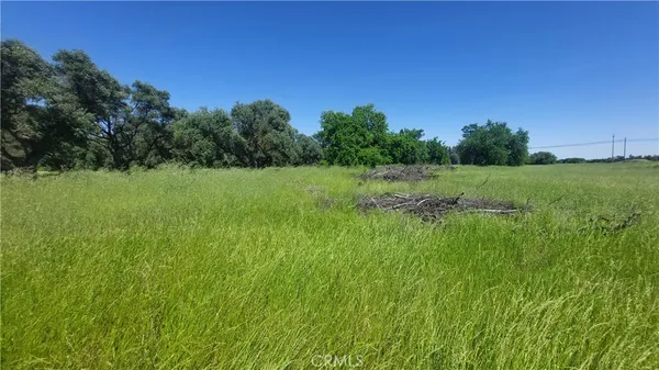 $545,000 | 2915 South 99 W Highway, Corning, CA 96021