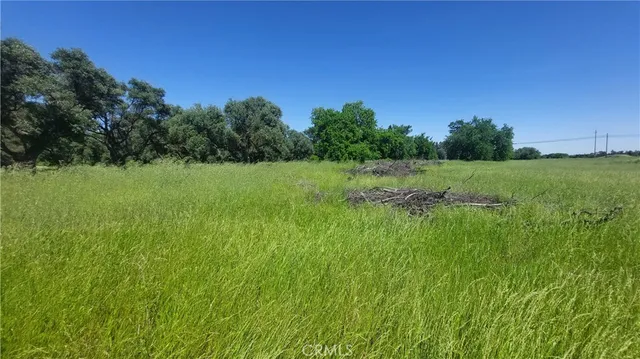 $545,000 | 2915 South 99 W Highway, Corning, CA 96021