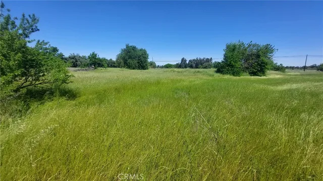 $545,000 | 2915 South 99 W Highway, Corning, CA 96021