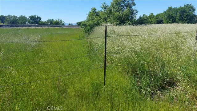 $545,000 | 2915 South 99 W Highway, Corning, CA 96021