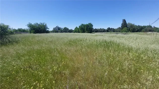 $545,000 | 2915 South 99 W Highway, Corning, CA 96021