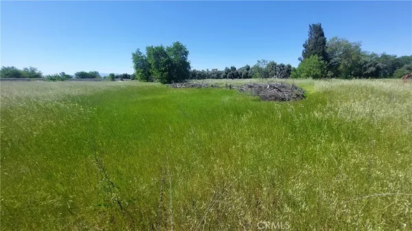 $545,000 | 2915 South 99 W Highway, Corning, CA 96021