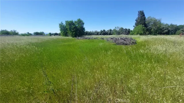 $545,000 | 2915 South 99 W Highway, Corning, CA 96021