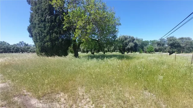 $545,000 | 2915 South 99 W Highway, Corning, CA 96021