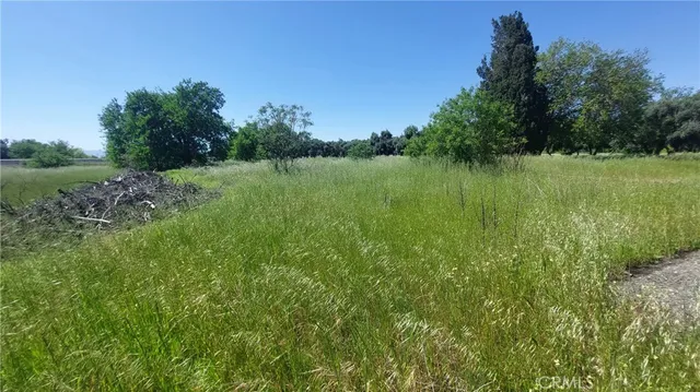 $545,000 | 2915 South 99 W Highway, Corning, CA 96021
