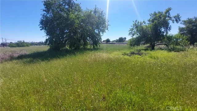 $545,000 | 2915 South 99 W Highway, Corning, CA 96021