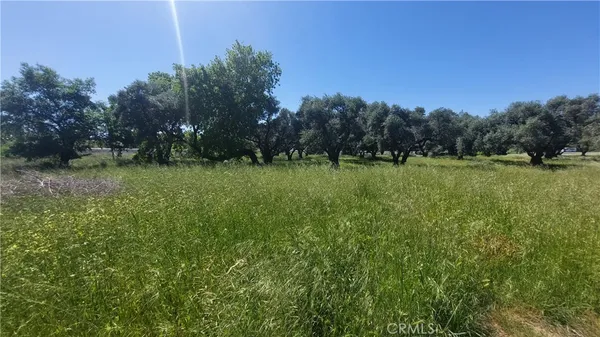 $545,000 | 2915 South 99 W Highway, Corning, CA 96021