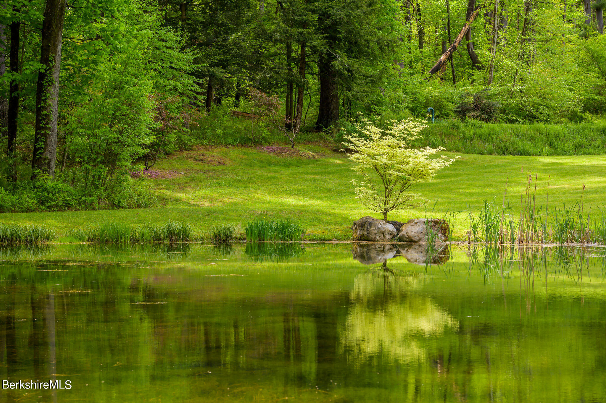 403 South Undermountain Road Sheffield, MA 01257 - Photo 35 of 46 Detail