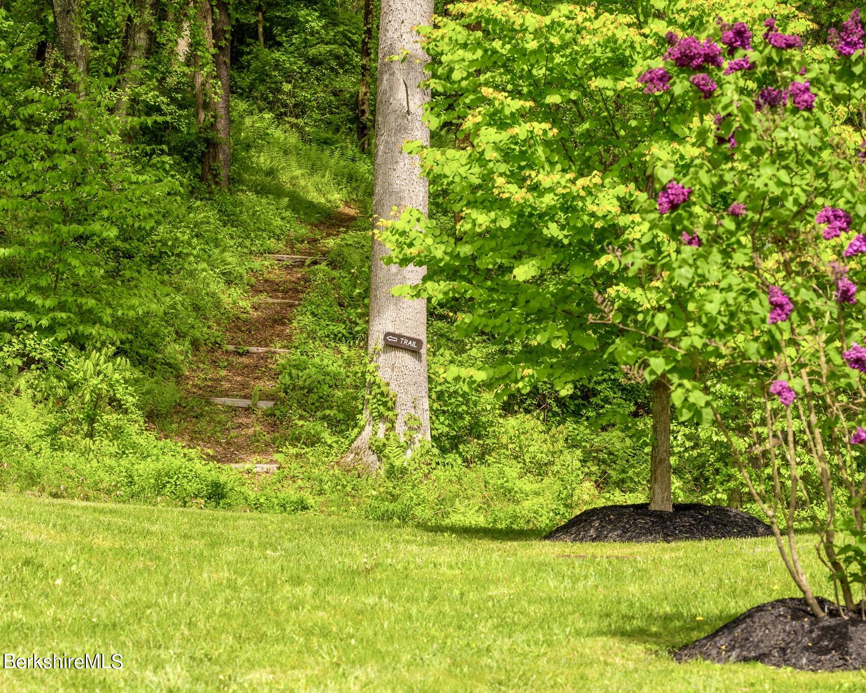 403 South Undermountain Road Sheffield, MA 01257 - Photo 37 of 46 Path to Lake