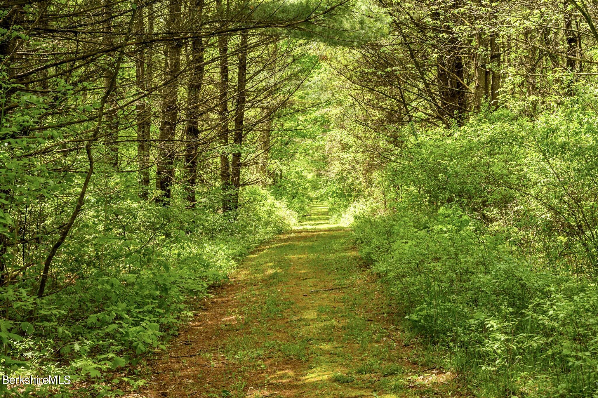 403 South Undermountain Road Sheffield, MA 01257 - Photo 39 of 46 Groomed path to lake