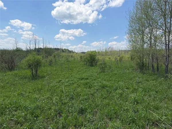 $49,900 | Buttermilk Road, South Dayton, NY 14138