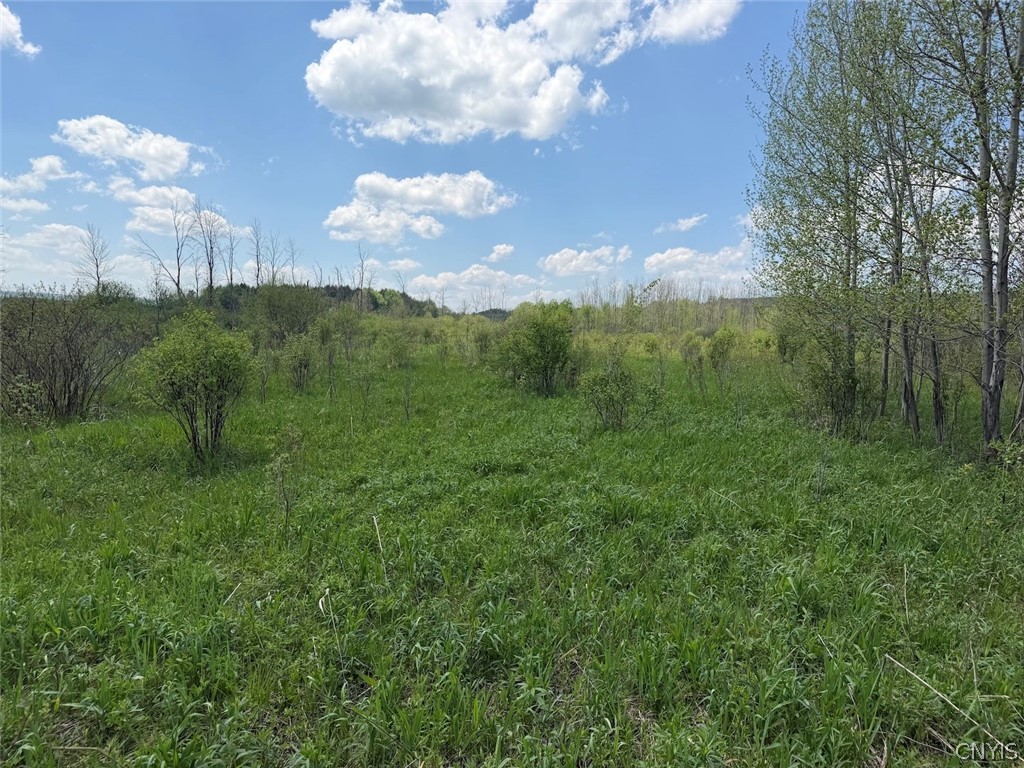 Buttermilk Road South Dayton, NY 14138 - Photo 1 of 26