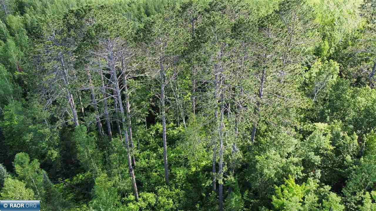 Tbd South Salmi Road Hibbing, MN 55746 - Photo 23 of 36 Gallery Image 23