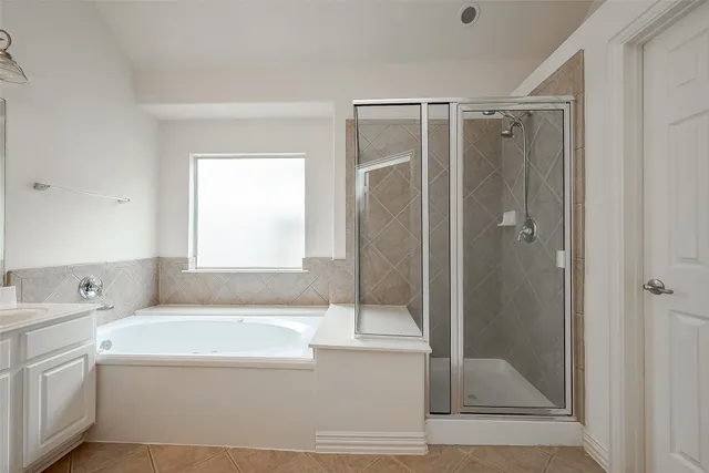 a bathroom with a shower a sink and a mirror