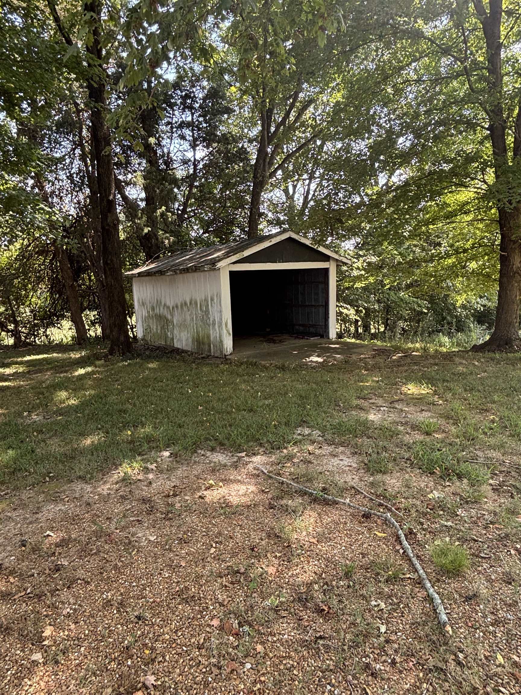 181 Deen Road Brighton, TN 38011 - Photo 5 of 16 View of yard featuring an outbuilding, a detached garage, a pole building, and view of scattered trees