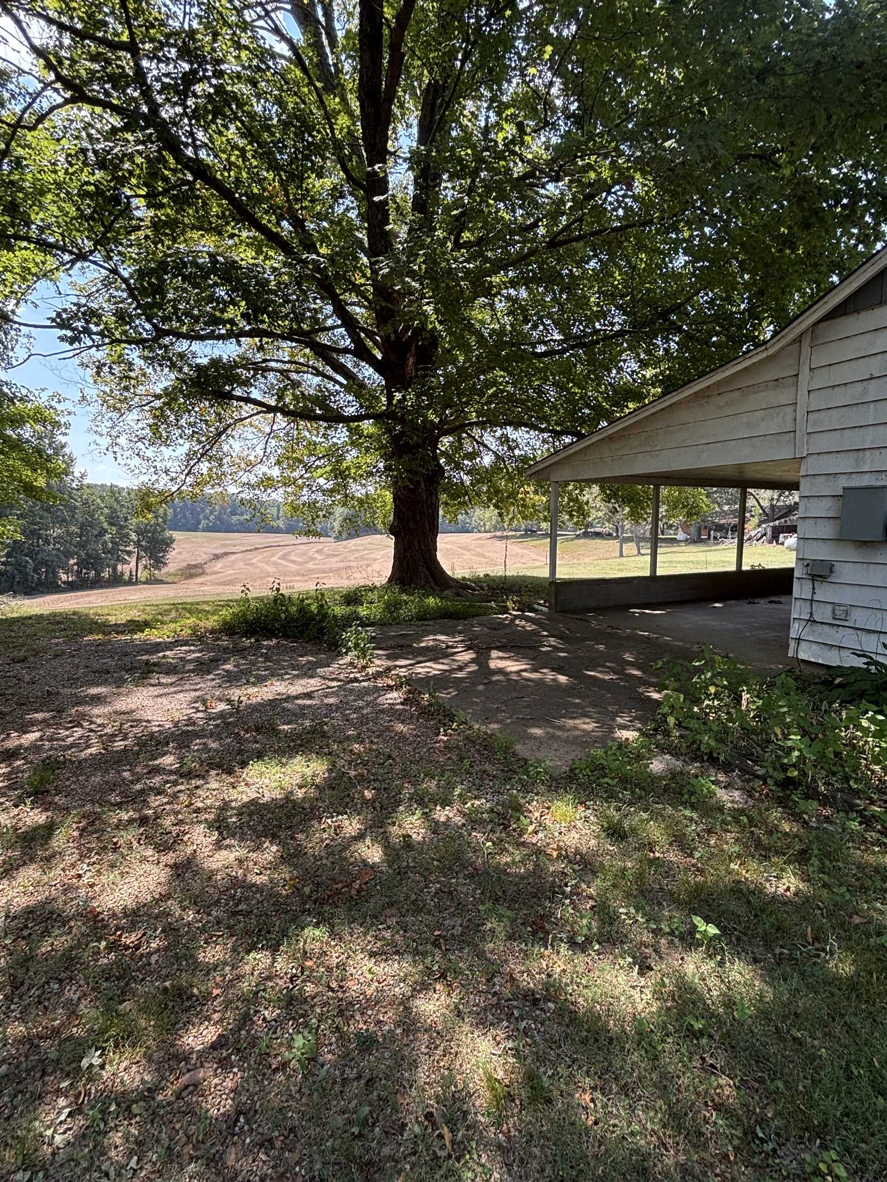 181 Deen Road Brighton, TN 38011 - Photo 6 of 16 View of yard