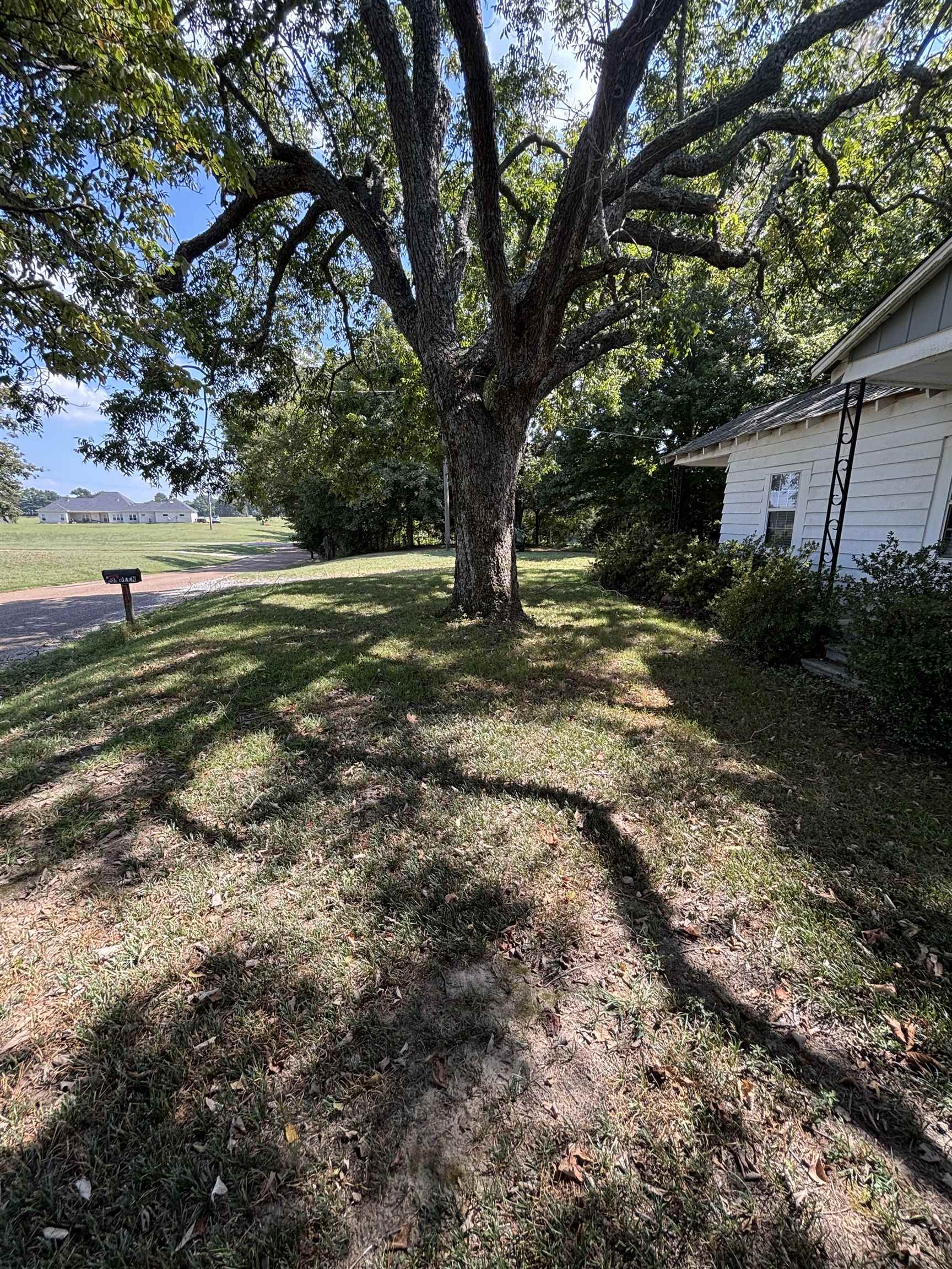 181 Deen Road Brighton, TN 38011 - Photo 9 of 16 View of grassy yard