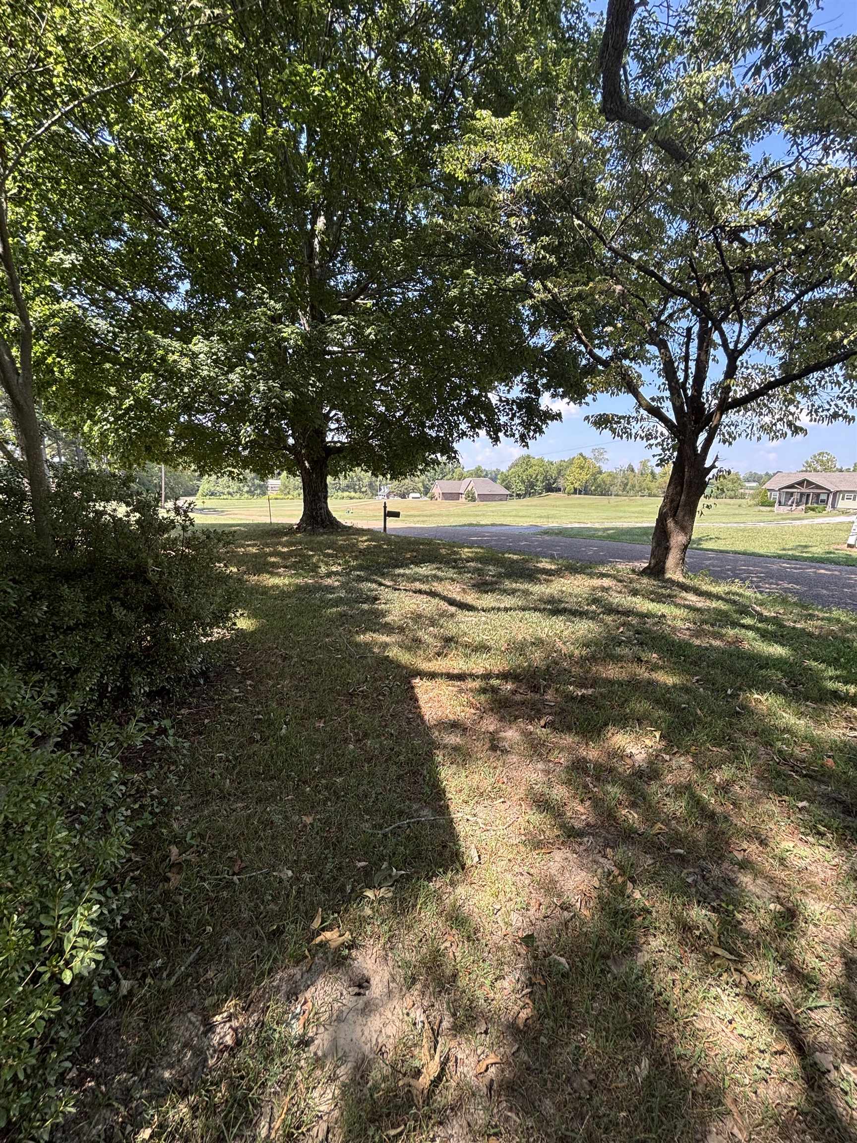 181 Deen Road Brighton, TN 38011 - Photo 10 of 16 View of grassy yard