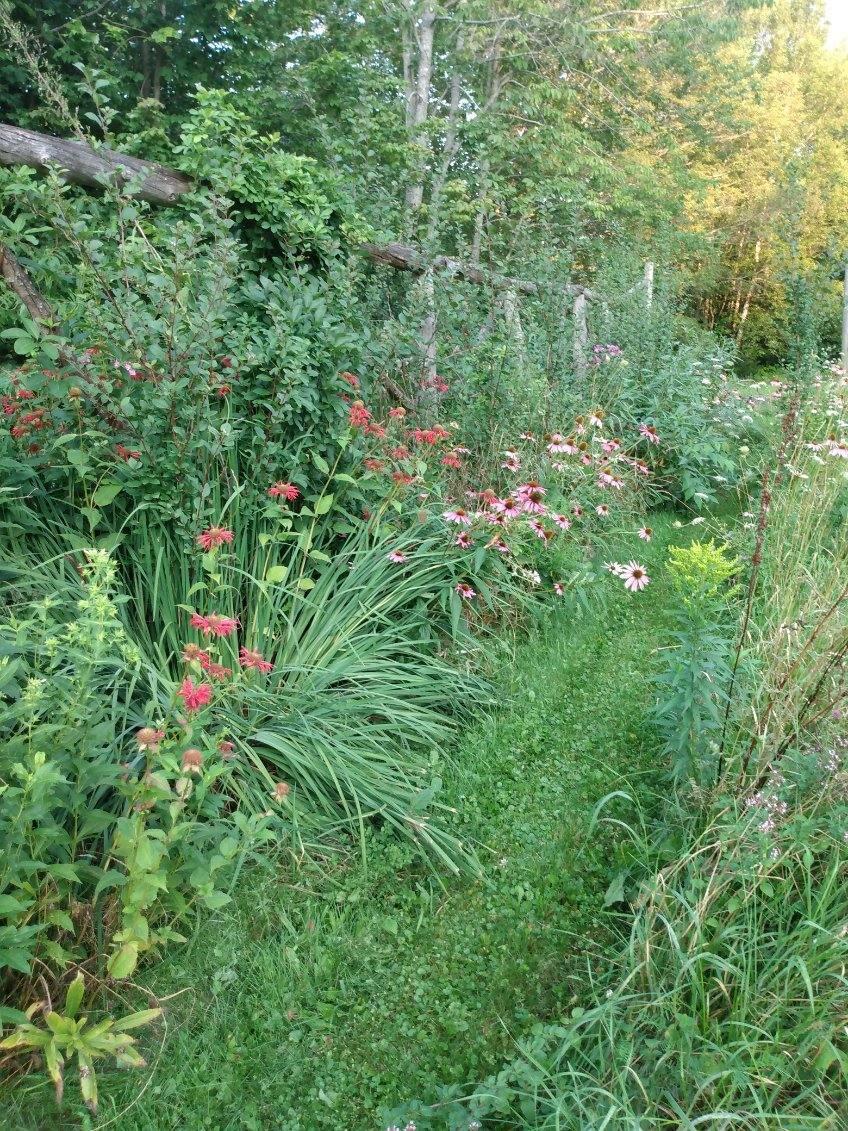 497 Hartland Road Athens, ME 04912 - Photo 12 of 20 image000002