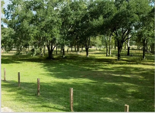 $210,000 | 911 County Road 911, Brazoria, TX 77422