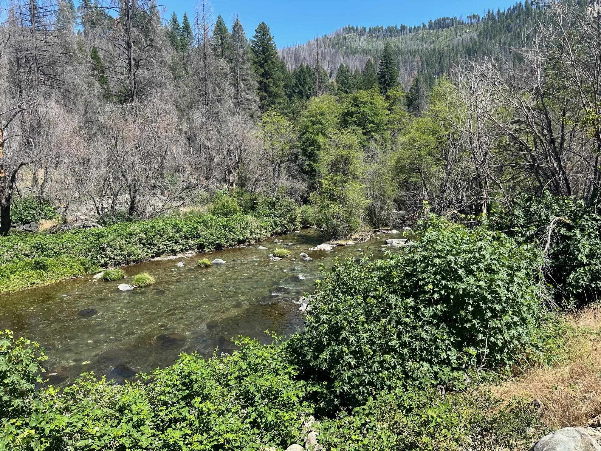 5680 Seneca Road Canyon Dam, CA 95923 - Photo 1 of 7 Gallery Image 1