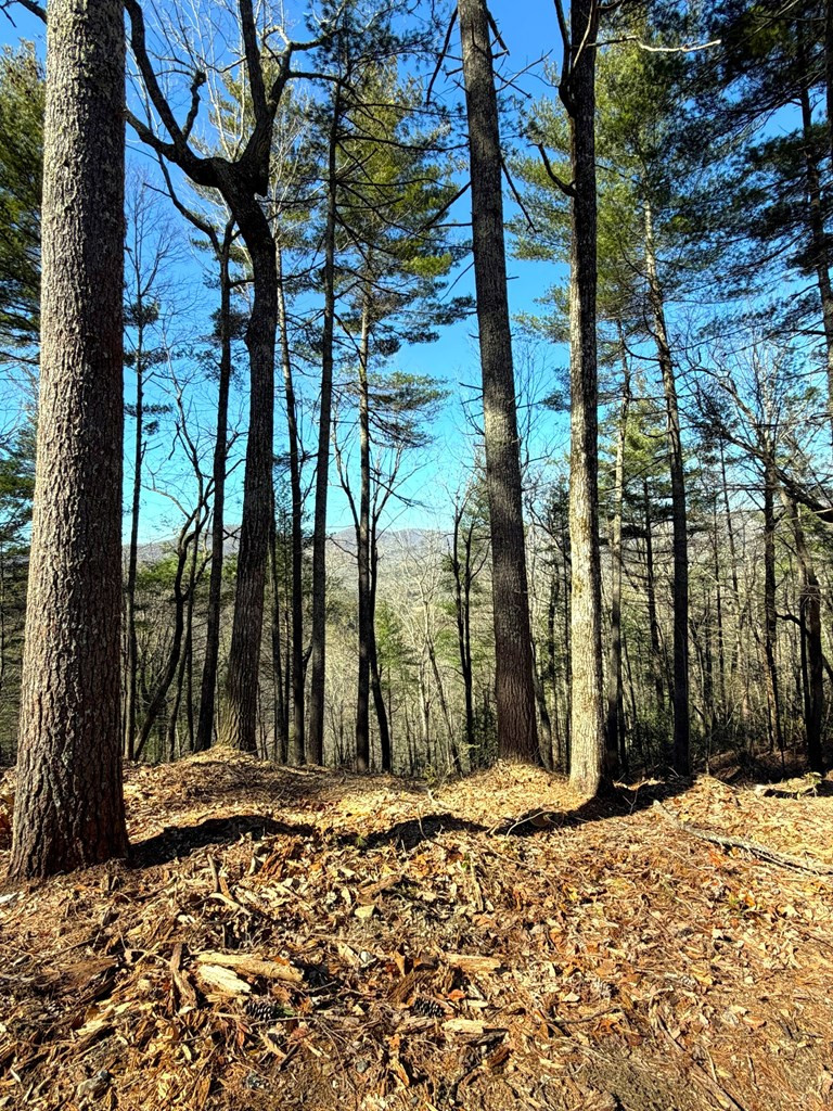 Lot 8 Top Horseshoe Ridge Murphy, NC 28906 - Photo 5 of 7 Gallery Image 5