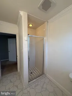 a bathroom with a shower and a toilet
