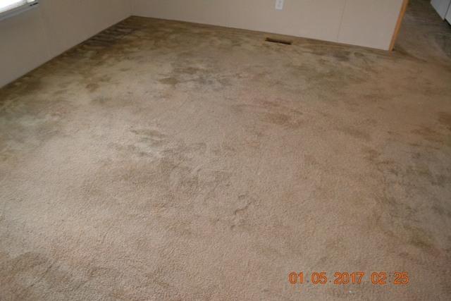 9614 Miller Country Road Soddy Daisy, TN 37379 - Photo 36 of 72 LR (1)