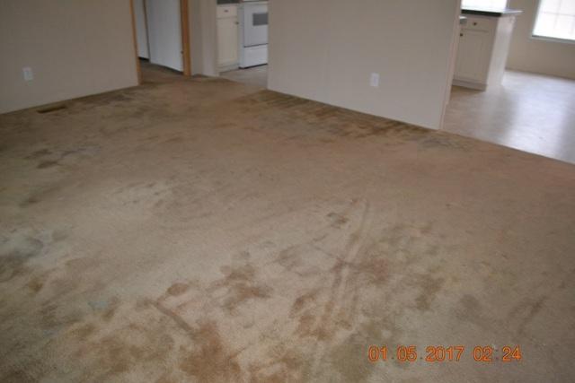 9614 Miller Country Road Soddy Daisy, TN 37379 - Photo 40 of 72 LRcarpet