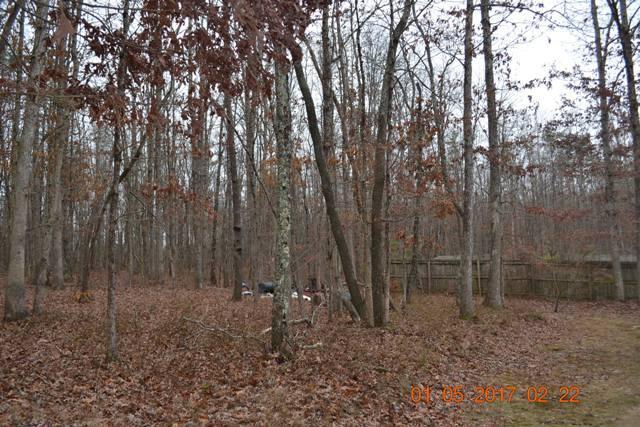 9614 Miller Country Road Soddy Daisy, TN 37379 - Photo 60 of 72 RearYard