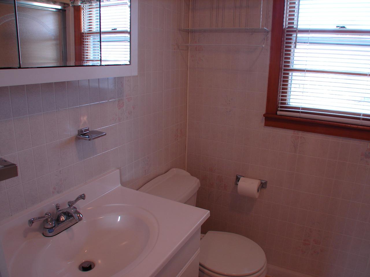 136 Rakes Drive Shawsville, VA 24162 - Photo 11 of 15 Bathroom