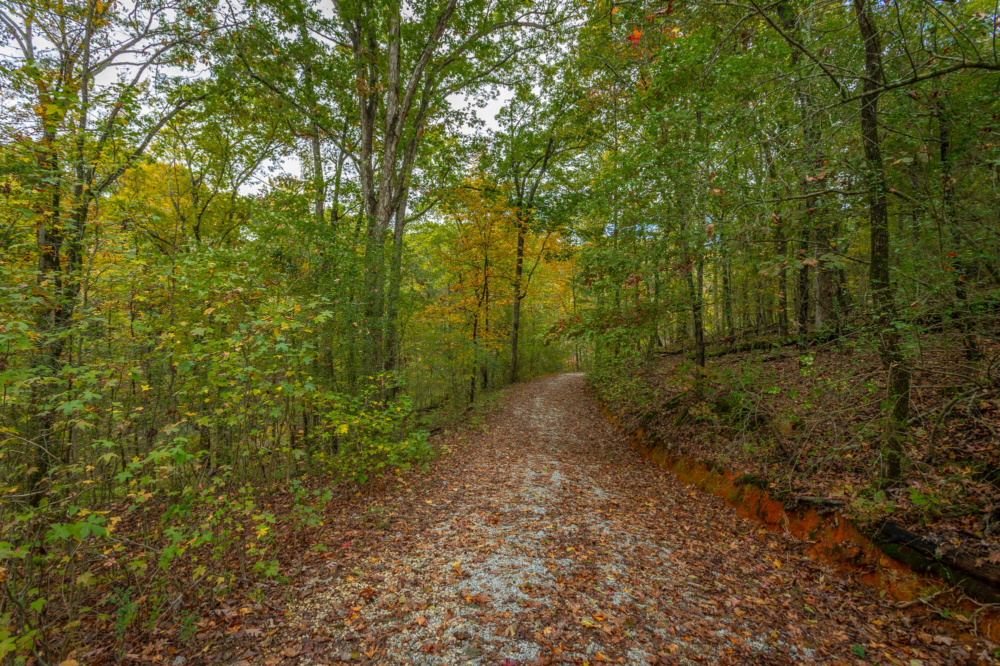 6510 Fairview Road Hixson, TN 37343 - Photo 47 of 67 6512 Fairview Road HD-1 - Copy