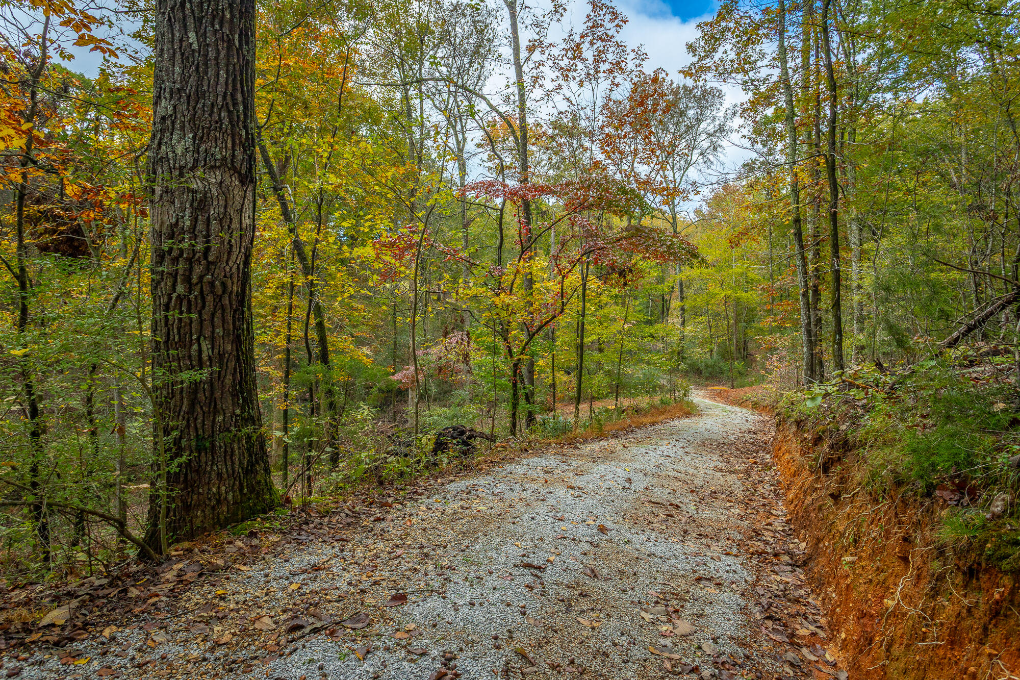 6510 Fairview Road Hixson, TN 37343 - Photo 48 of 67 6512 Fairview Road HD-2 - Copy