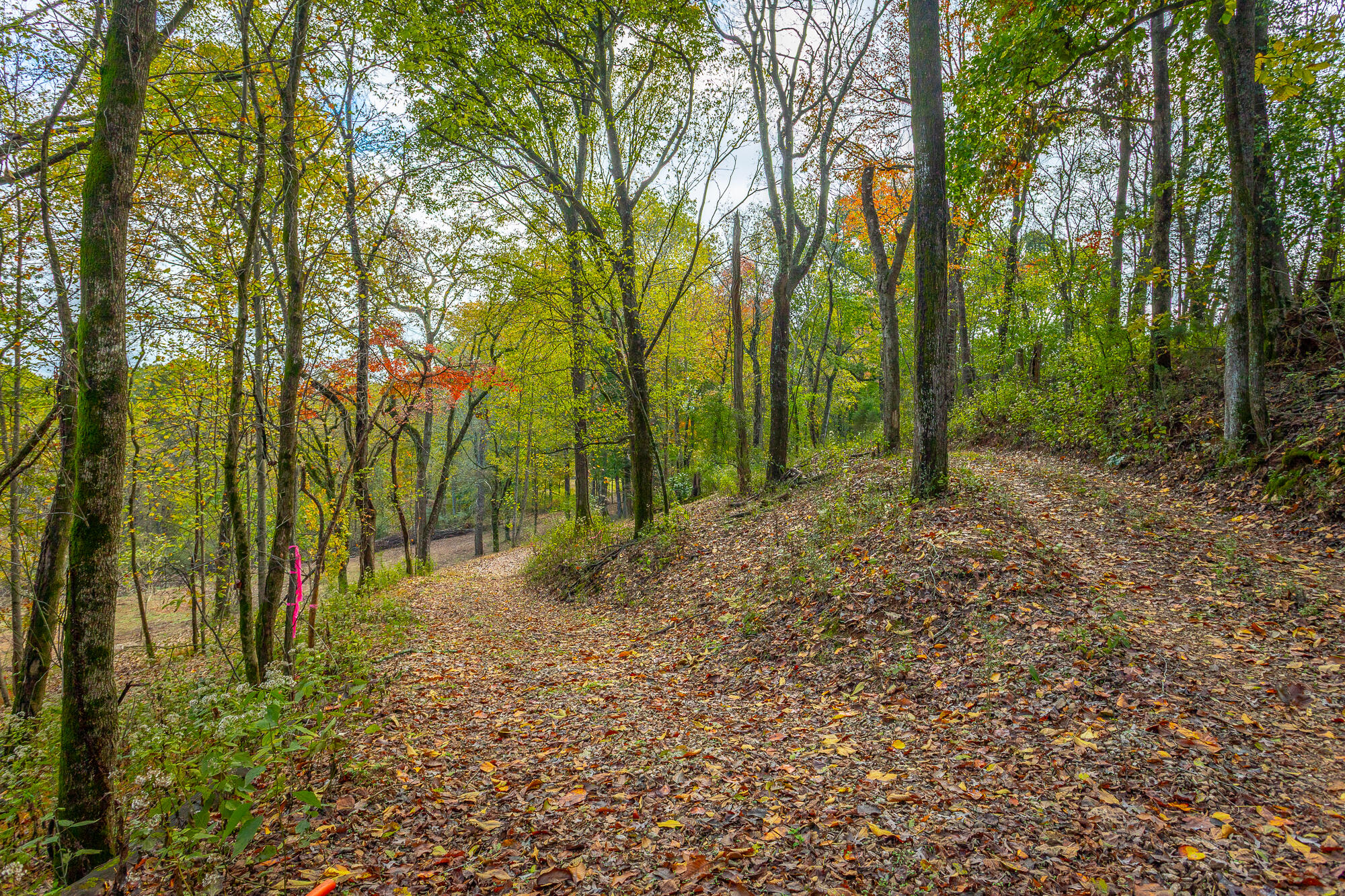 6510 Fairview Road Hixson, TN 37343 - Photo 64 of 67 6512 Fairview Road HD-21 - Copy