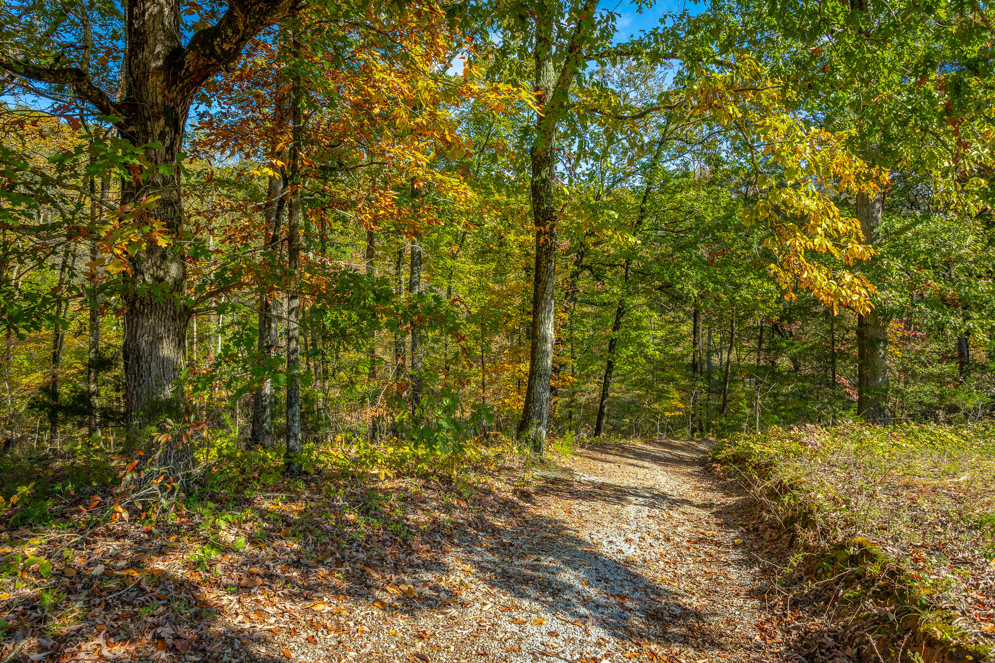 6510 Fairview Road Hixson, TN 37343 - Photo 65 of 67 6512 Fairview Road HD-25 - Copy