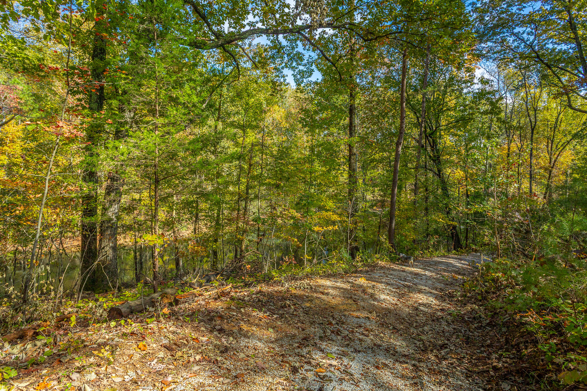 6510 Fairview Road Hixson, TN 37343 - Photo 66 of 67 6512 Fairview Road HD-26