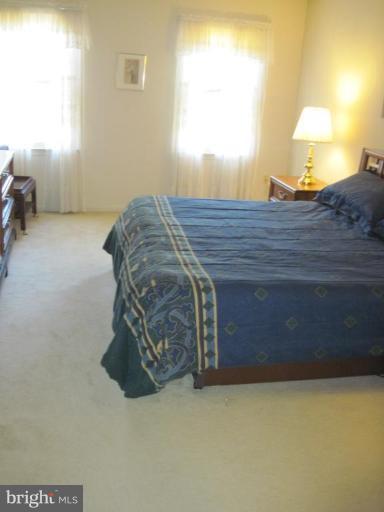 8149 Viola Street Springfield, VA 22152 - Photo 5 of 15 Master Bedroom